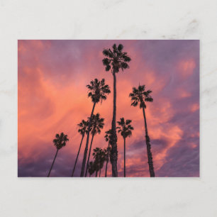 Cartão Postal Palm Trees no Cartaz do Sunset