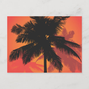 Cartão Postal Palm Trees Silhuettes Sunset