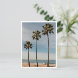 Cartão Postal Palmeiras de Praia e Torre de Vigia de Los Angeles