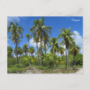 Cartão Postal Palmeiras de Rangiroa