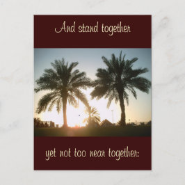 Cartão Postal Palmeiras em Doha