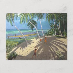 Cartão Postal Palmeiras Praia da Clovelly Barbados 2013