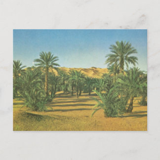 Cartão Postal Palmeiras, Wadi el Adjal, Líbia