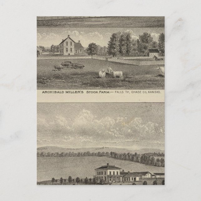 Cartão Postal Palmer Ranch, Kansas (Frente)