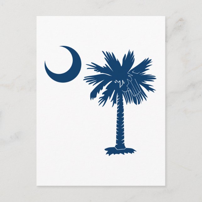Cartão Postal Palmetto Azul (Frente)