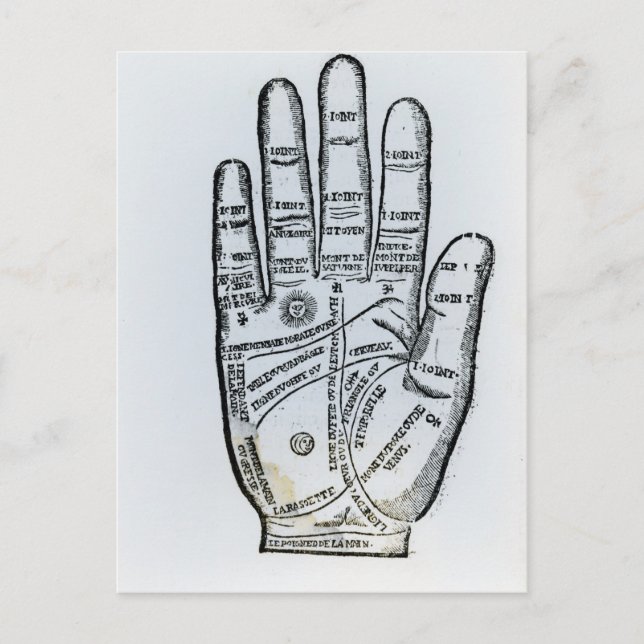 Cartão Postal Palmísica (Frente)