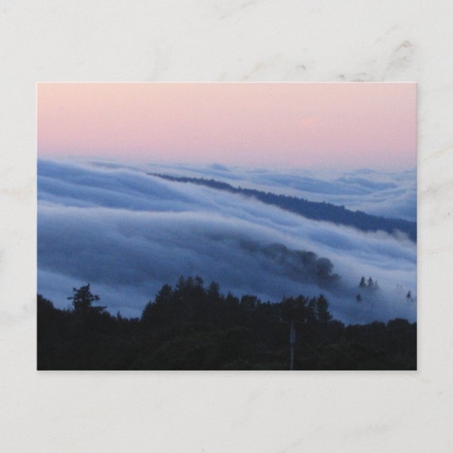 Cartão Postal Palo Alto (Frente)