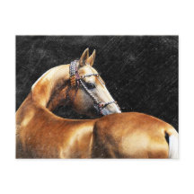 Palomino Akhal-teke