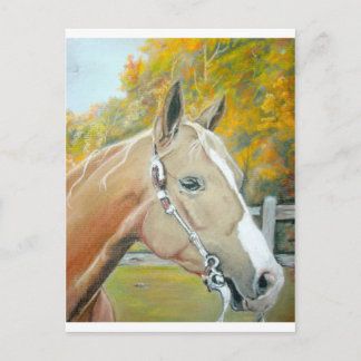 Cartão Postal Palomino, Cavalo pastel