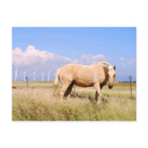 Palomino Horse com Cartaz de Moinhos