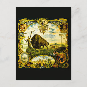 Cartão Postal Pan Am Expo com Motivos de Bisonho e Nativos Ameri