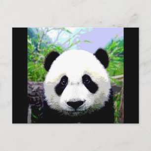 Cartão Postal Panda Bear