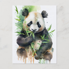 Cartão Postal Panda com pele branca e preta