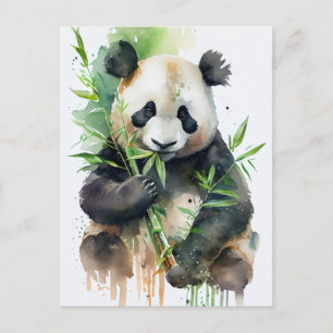 Cartão Postal Panda com pele branca e preta
