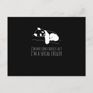 Cartão Postal Panda Sweet Funny Funny Koala