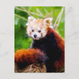 Cartão Postal Panda Vermelha E Bonita Pintada