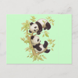 Cartão Postal Pandas Cuecas
