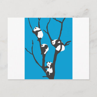 Cartão Postal Pandas Hangin Out