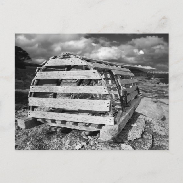 Cartão Postal Panela de Lagosta (Frente)