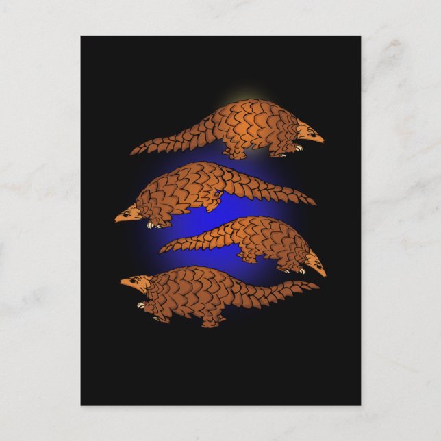 Cartão Postal Pangolin Gift Men Pangolin Lover Women Pangolin (Frente)