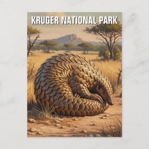 Cartão Postal Pangolin no Parque Nacional Kruger África do Sul