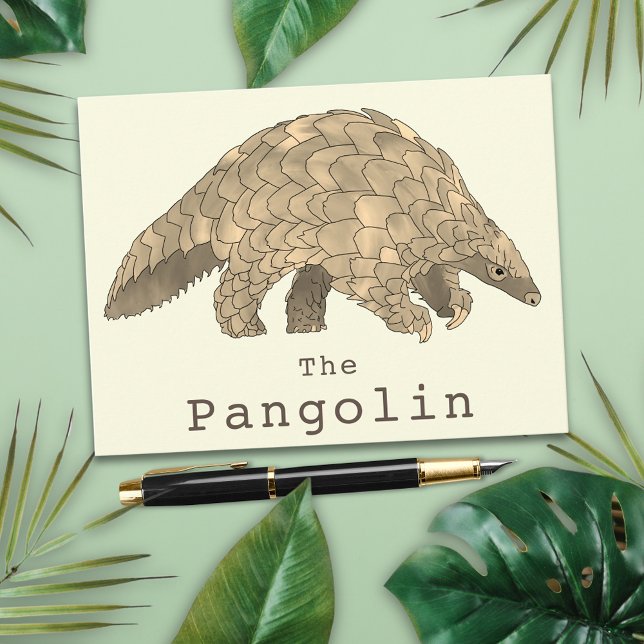 Cartão Postal Pangolina Espécies Selvagens Ameaçadas de Extinção (Pangolin animal art greetings postcard)
