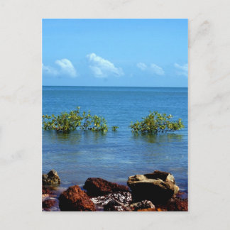 Cartão Postal Panorama de Água Darwin