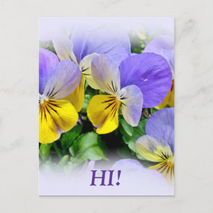 Cartão Postal Pansias - Amarelo roxo para as asas