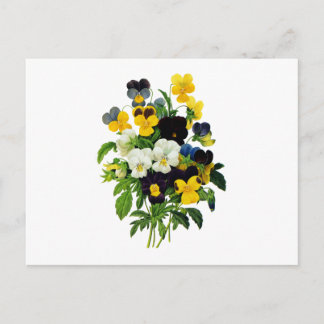Cartão Postal Pansias Azul Roxo e Amarelo por Refúgio