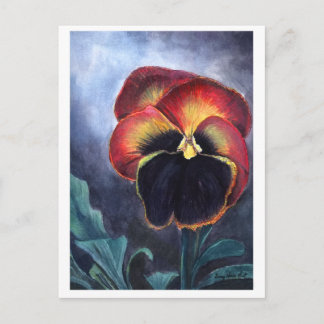 Cartão postal Pansy