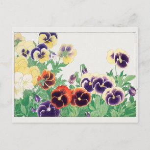 Cartão Postal Pansy de Tanigami Konan