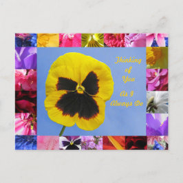 Cartão postal Pansy Garden