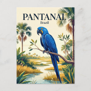 Cartão Postal Pantanal Brasil