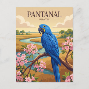 Cartão Postal Pantanal Brasil