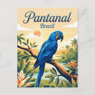 Cartão Postal Pantanal Brasil