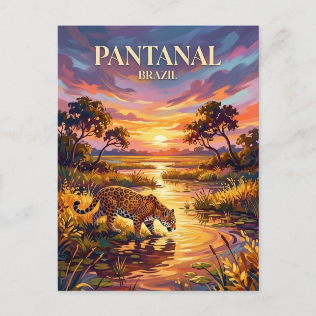 Cartão Postal Pantanal Brasil (Frente)