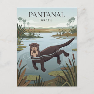 Cartão Postal Pantanal Brasil