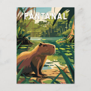 Cartão Postal Pantanal Brasil Capivara Arte Viagem Vintage