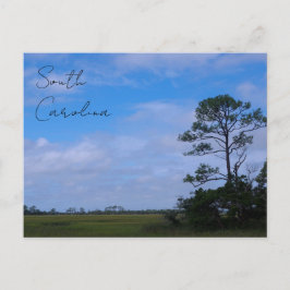 Cartão Postal Pântano da Ilha da Caça