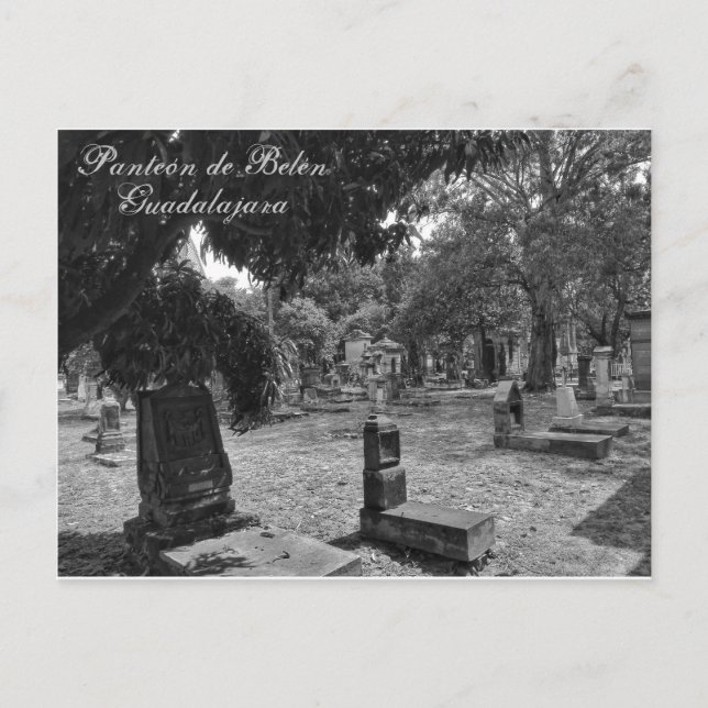 Cartão Postal Panteón de Belén Blanco y Negro (Frente)