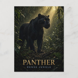 Cartão Postal Pantera Animais da Selva Densa ANIMAL