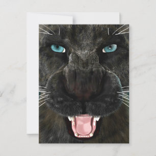 Cartão Postal Panther Preto de Gato Grande