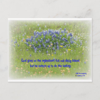 Cartão Postal Pão Diário