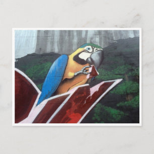 Cartão Postal papagaio