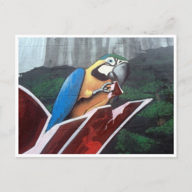 Cartão Postal papagaio (Frente)