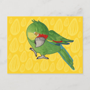 Cartão Postal Papagaio aquarela