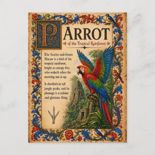 Cartão Postal Papagaio, Arte Bestiário Medieval