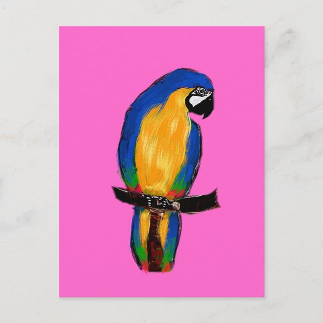 Cartão Postal Papagaio Azul (Frente)
