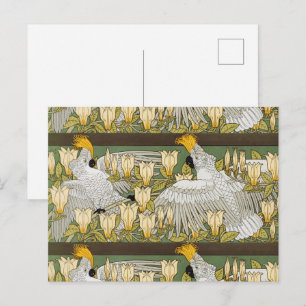 Cartão Postal Papagaio Cacatua Verde Salvia Vintage Arte Magnóli