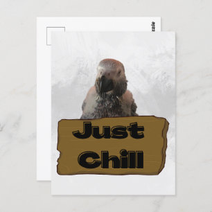 Cartão Postal Papagaio-cinza africano, Cartão-postal